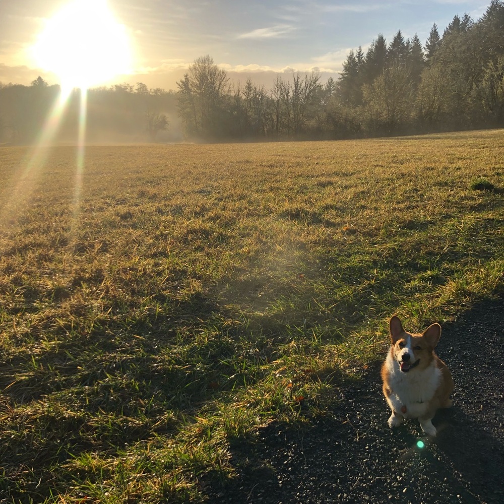 Meet your Posher, Kellie